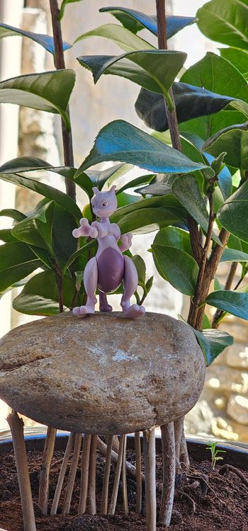 Super figurine Pokemon Nintendo Mewtwo 