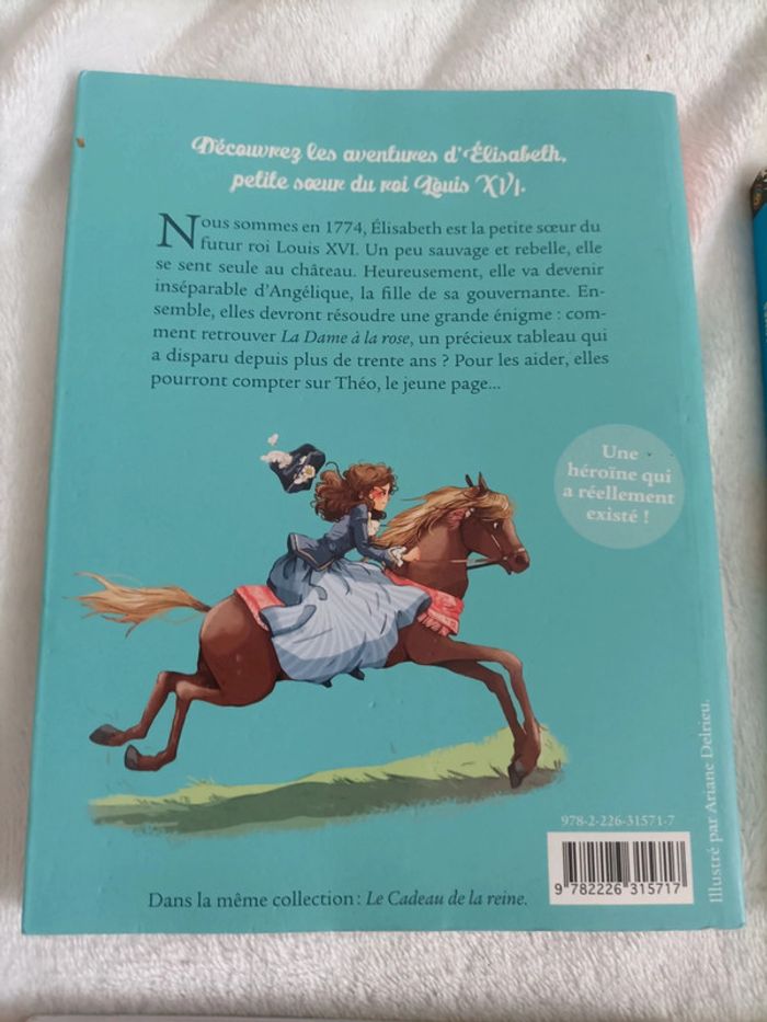 Énorme lot de livres collège – 15 titres - photo numéro 4