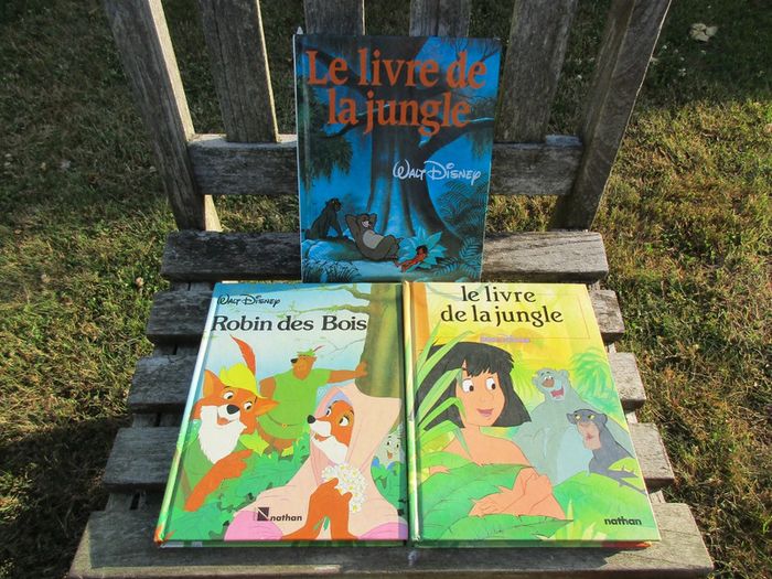 3 livres de 110 pages walt disney - photo numéro 2