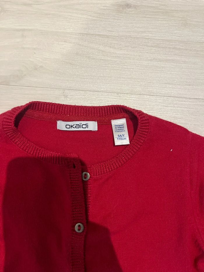 Gilet rouge brillant - photo numéro 2