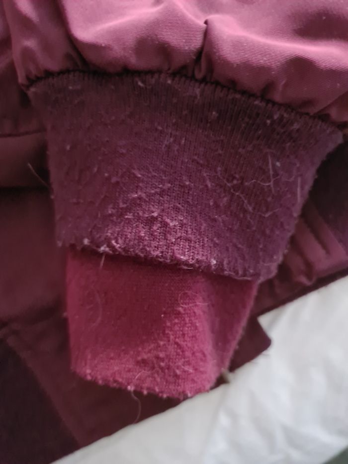 Blouson equitation - photo numéro 2