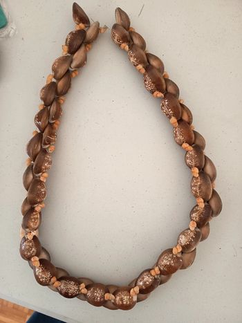 Collier de coquillage polynésien