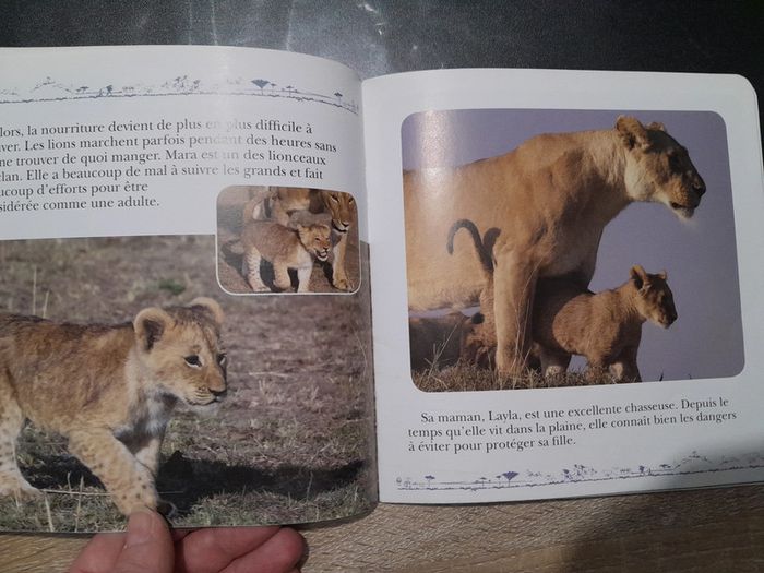 album souple Disney nature - les félins - photo numéro 3