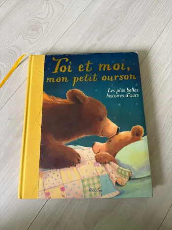 Grand livre enfant ours