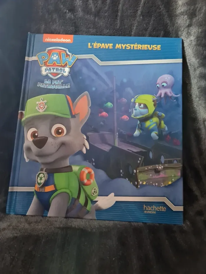 L'épave mystérieuse pat patrouille
