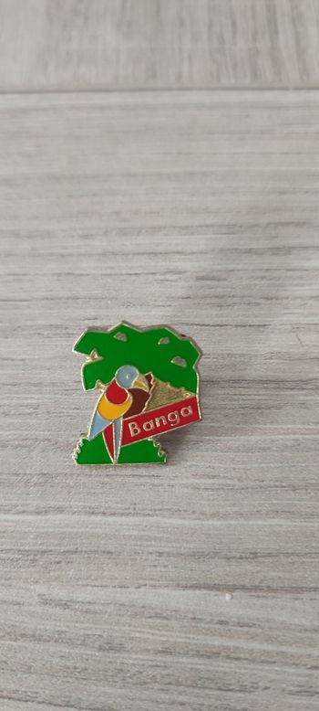 Pin's Banga