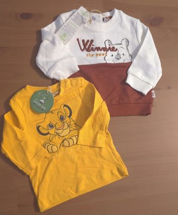 (Neufs non portés) 🏷 sweat et teeshirt ml  winnie/simba 6mois garçon 🥰😍😍
