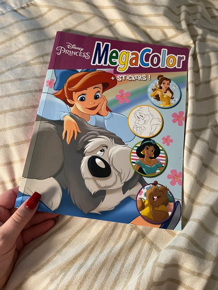 Livre Disney princesse