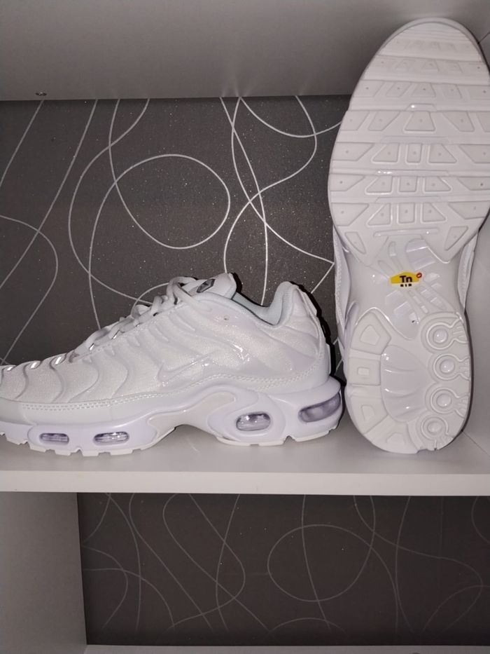 TN blanche - photo numéro 2