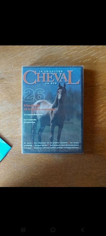 DVD