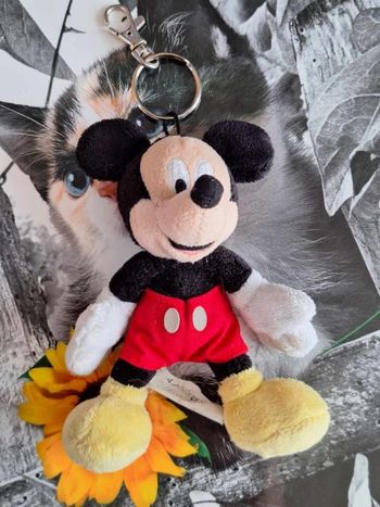 porte clefs mickey