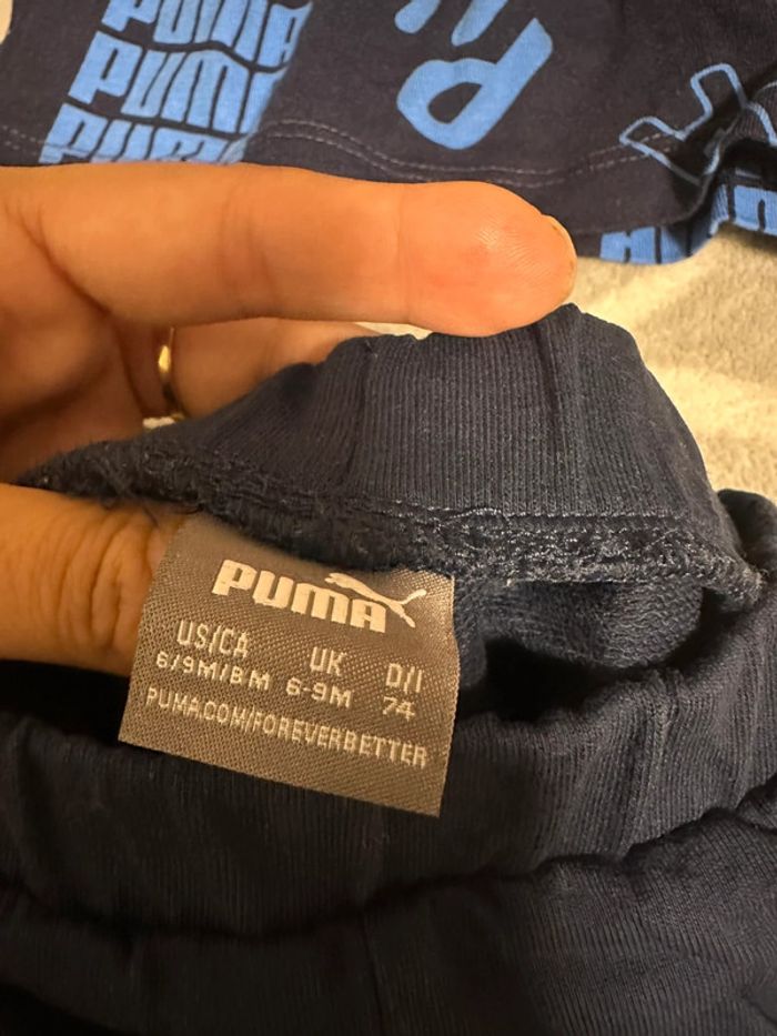 Ensemble puma - photo numéro 4