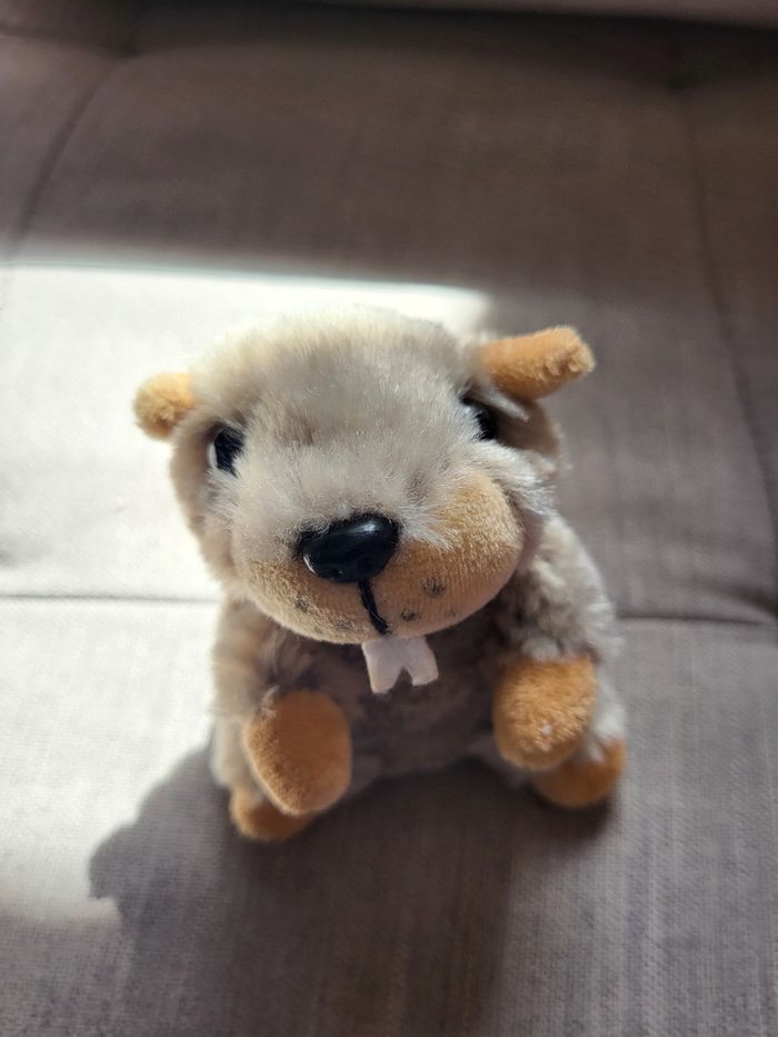 Petite marmotte.