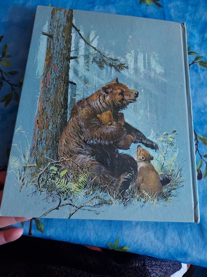 Bande dessinée pour enfant Les animaux des bois - photo numéro 5