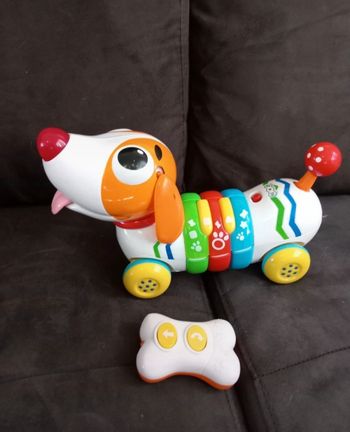 Chien télécommande