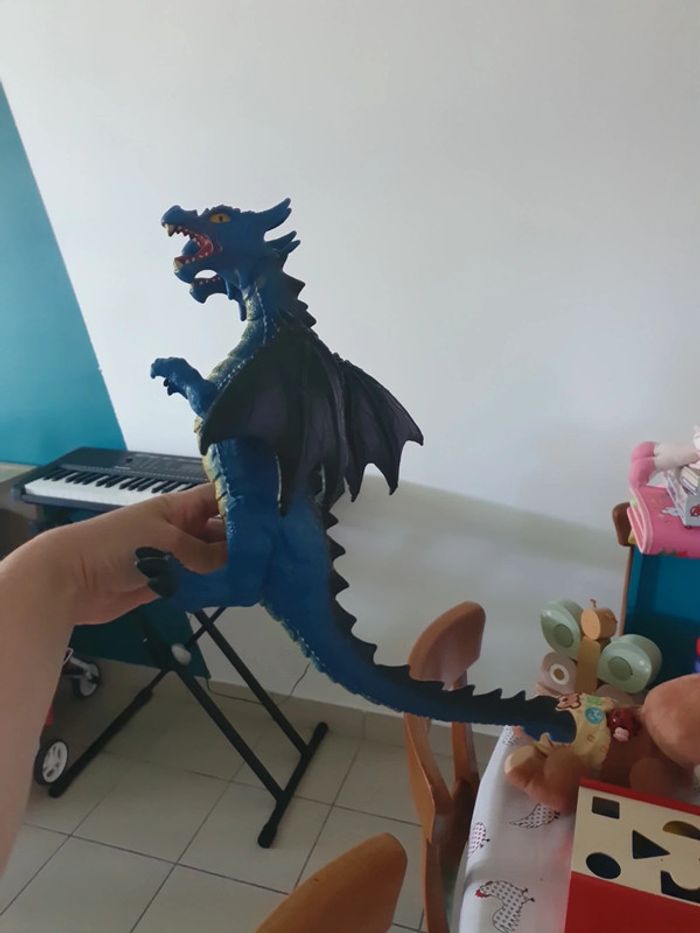 Dragons - photo numéro 2