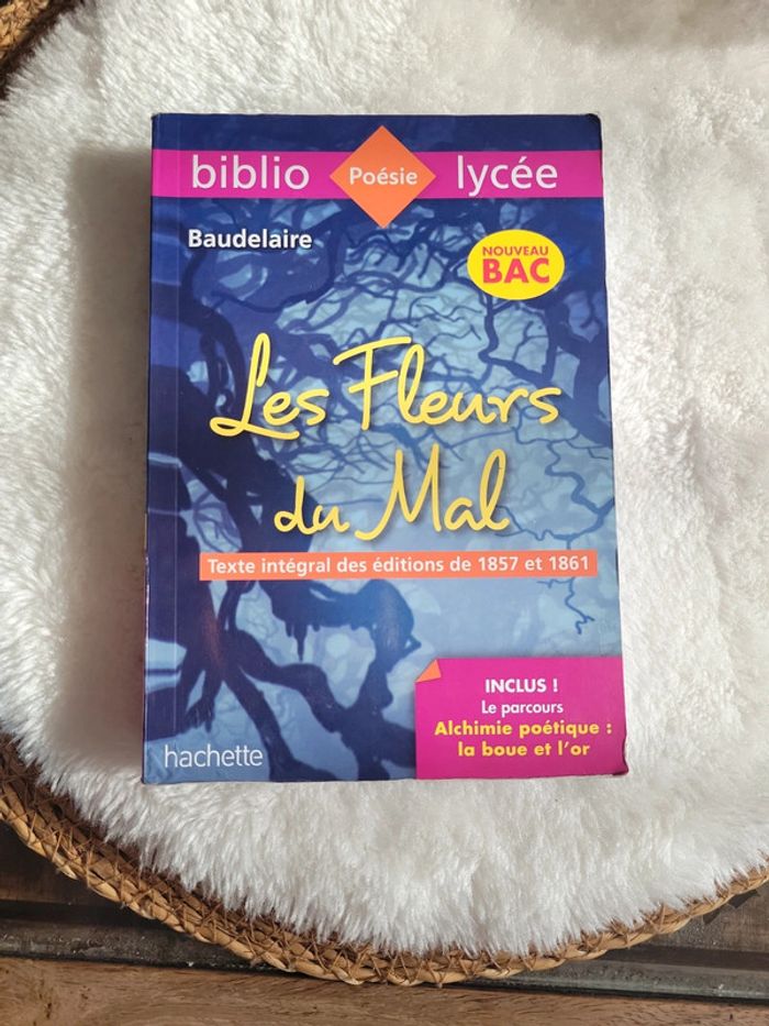 Les fleurs 🌸 du mal. Baudelaire