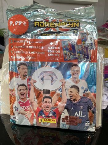 Panini Album Foot 2021 2022