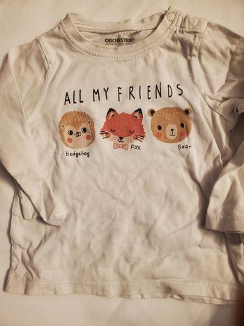 Polo orchestra 23 mois