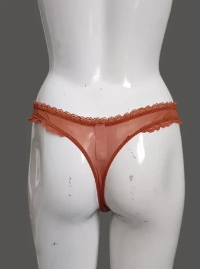 String Aimée L. 36 - photo numéro 3