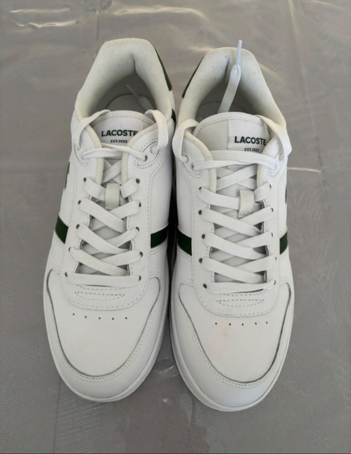 Basket Lacoste
