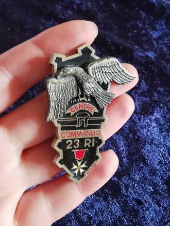 Broche insigne Centre Commando 23 RI aigle