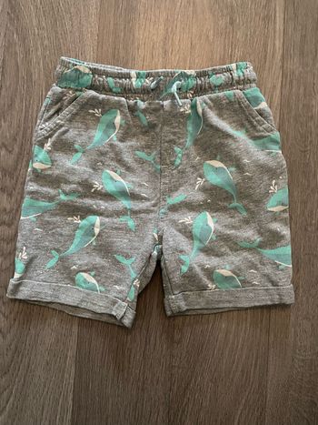 Short Orchestra 18 mois