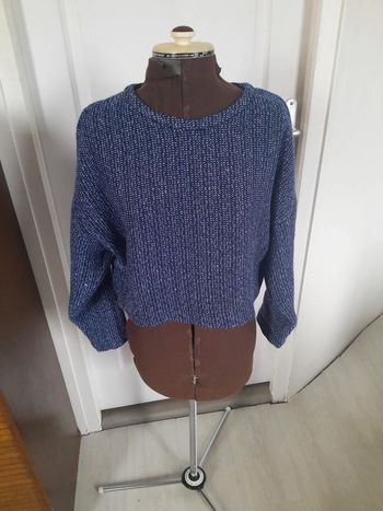 Croq pull Paul&joe sister