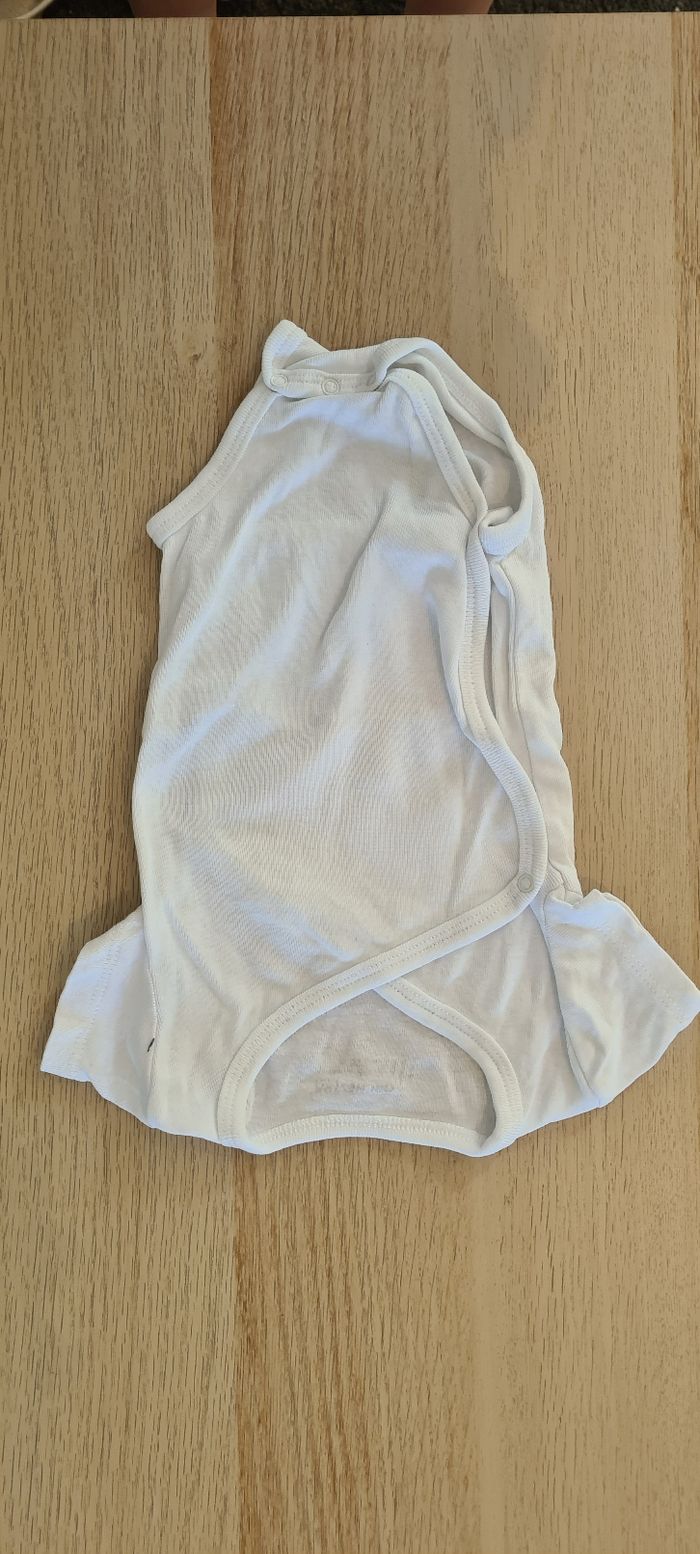 Lot bodies 6 mois manches courtes - photo numéro 6