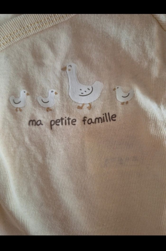 Lot bodies - photo numéro 5