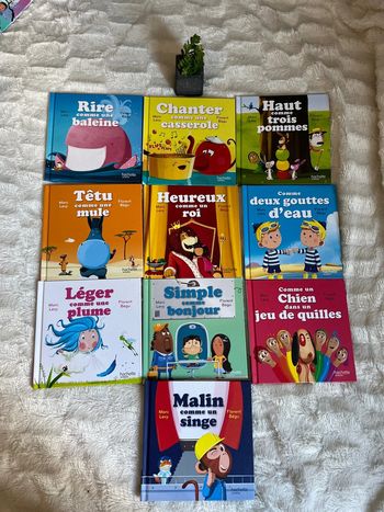 Lot de 10 livres mcdo « connais tu l’expression»