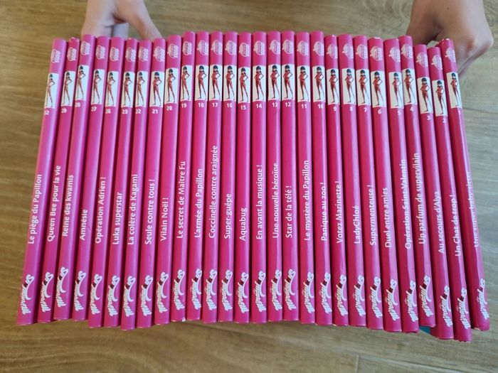 Lot livre ladybug - photo numéro 4