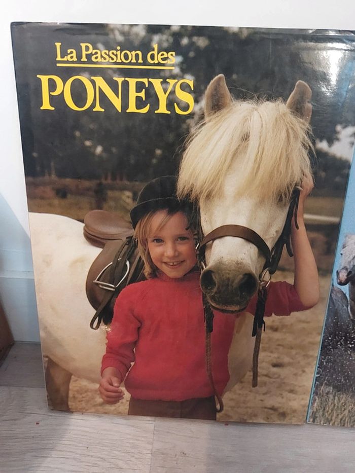 Livres en lot ou à l'unité La passion des chevaux/ la passion des poneys - photo numéro 3