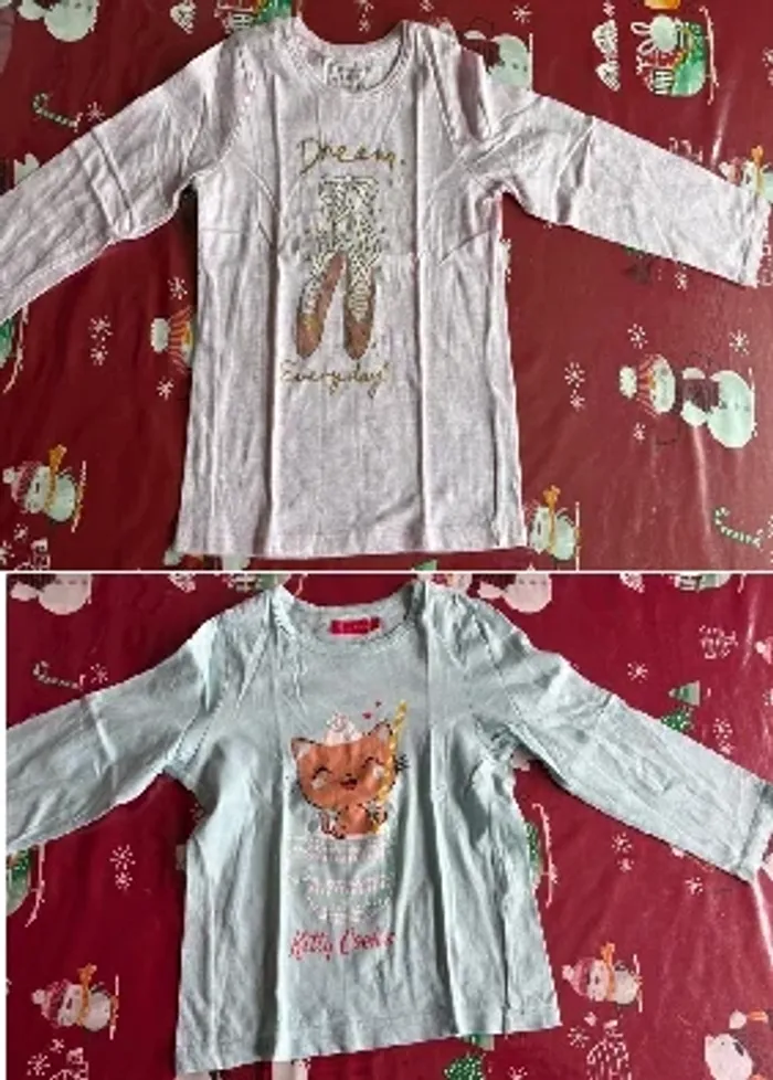 Lot 2 tee shirts manches longues 5 ans