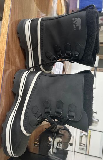 Sorel caribou