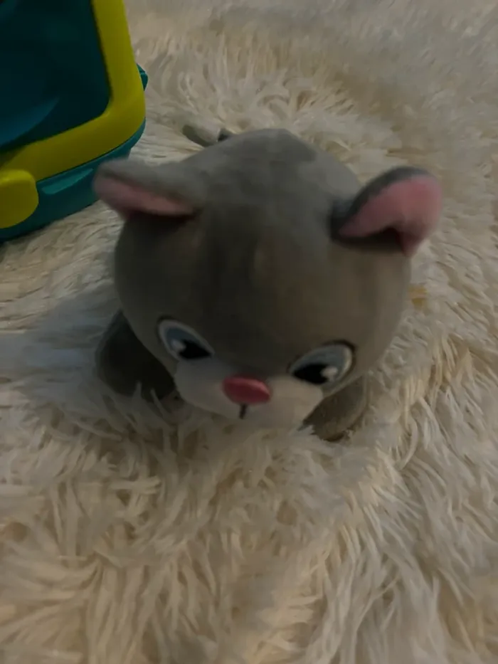 Chat smoby - photo numéro 5