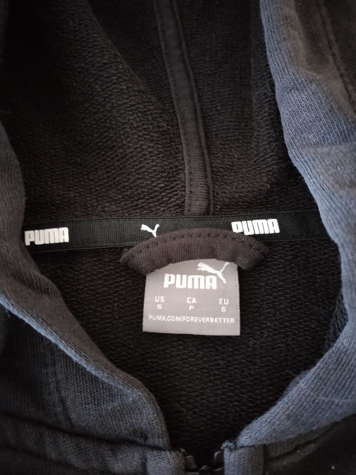 Veste à capuche - photo numéro 2