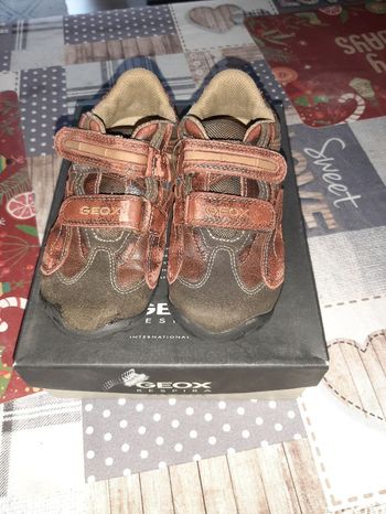Basket Geox
