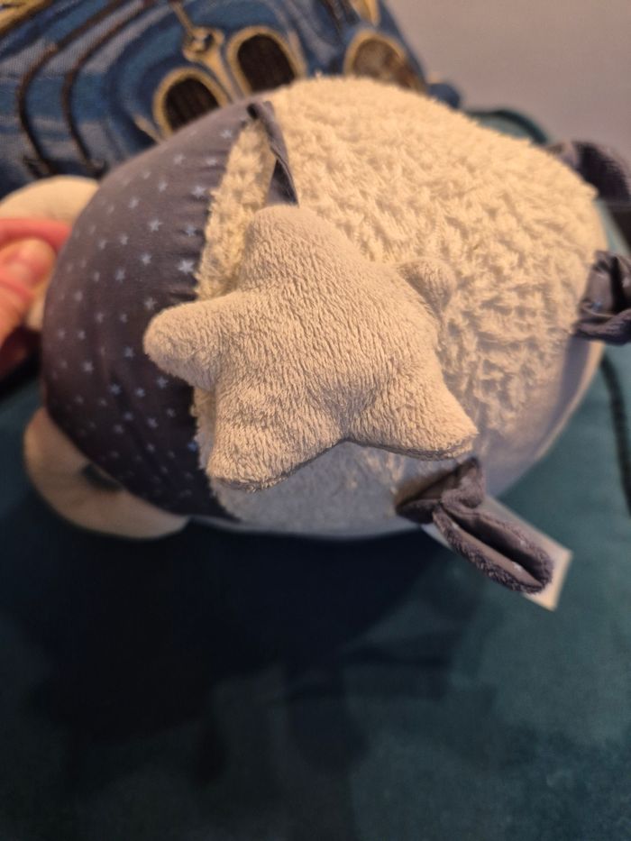 Balle d'activite Sauthon - photo numéro 5