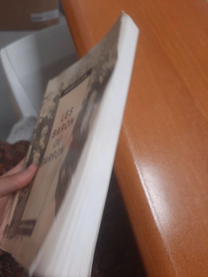 Les baron ou barron - photo numéro 4