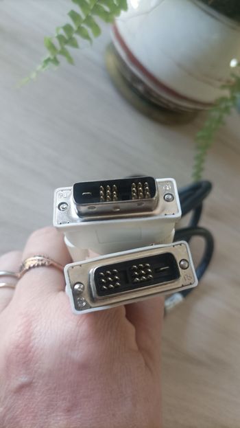 Câble DVI 1m80 RS PRO Mâle vers Mâle ecran informatique PC