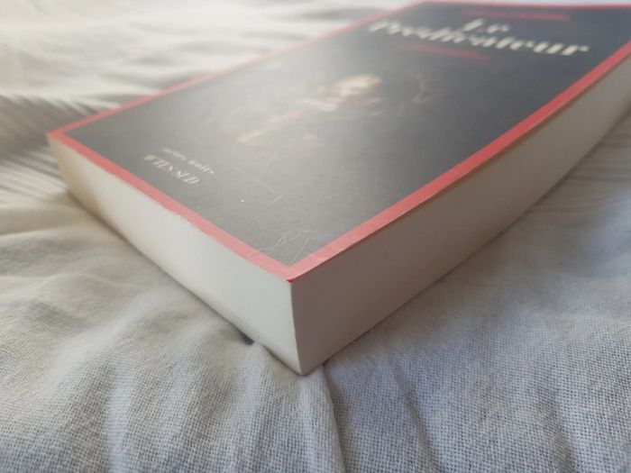Le prédicateur  de Camilla Lackberg - photo numéro 4