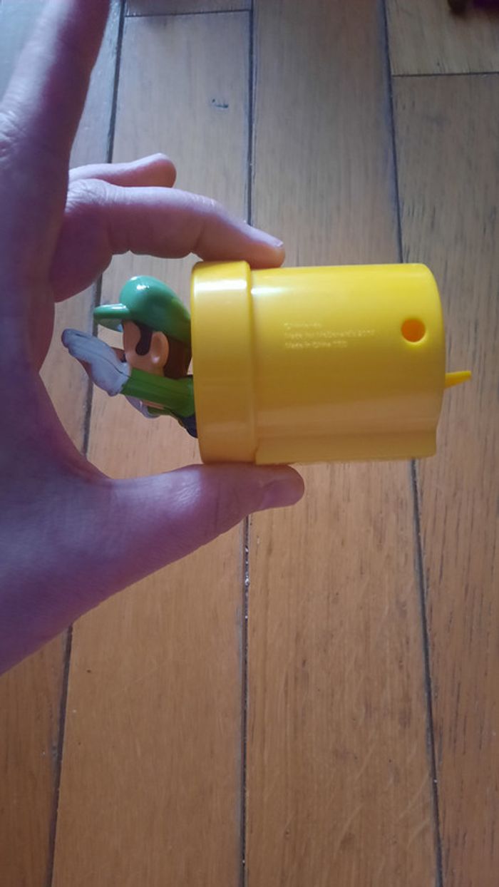 Luigi - photo numéro 4