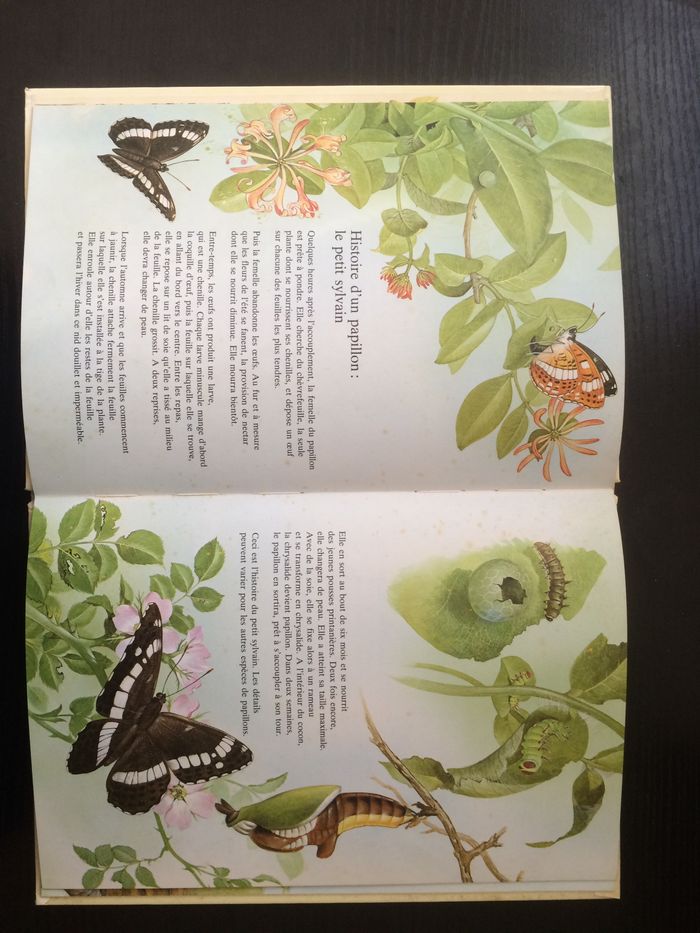 Livre animaux - photo numéro 3