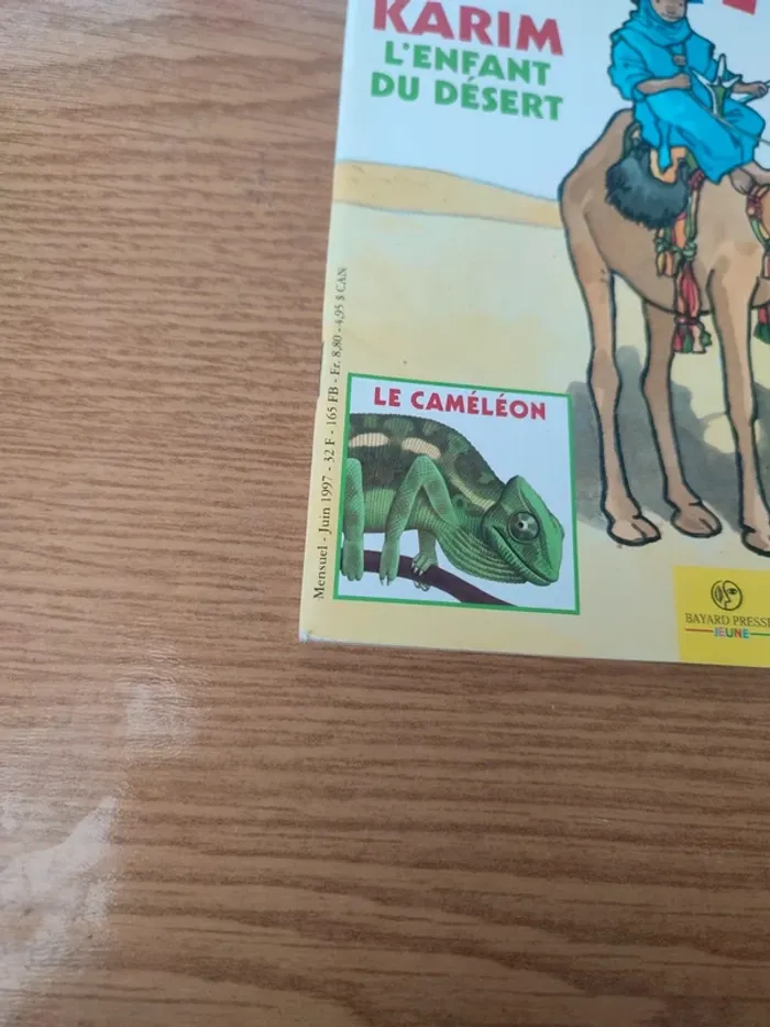 Livre youpi Karim l'enfant du désert - photo numéro 2