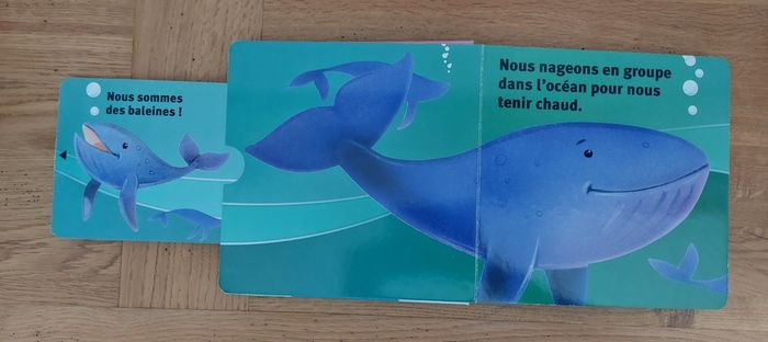 Brrr ! découvre les réponses cachées - photo numéro 4