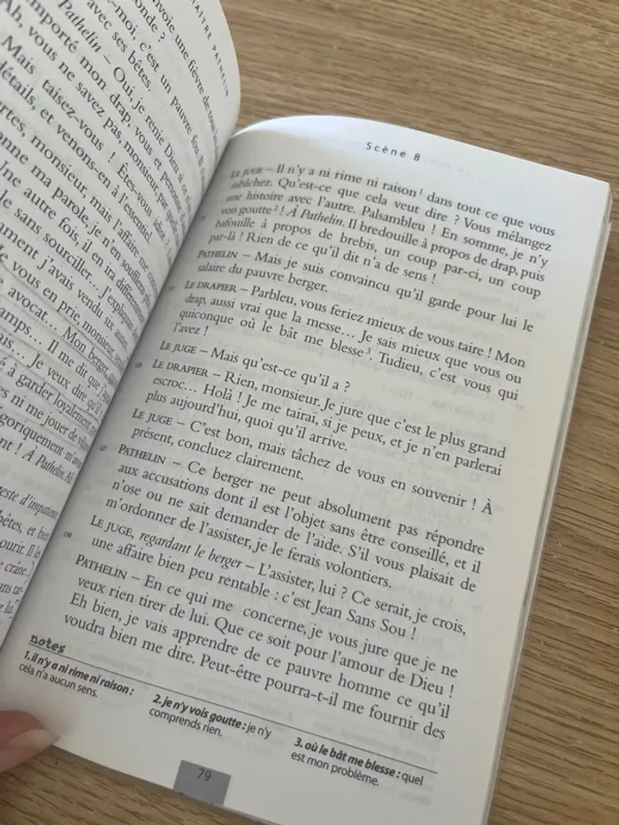 La farce de maître Pathelin - photo numéro 2