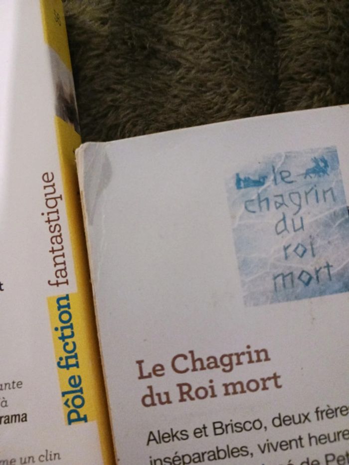Lot Mourlevat - le chagrin du roi mort / terrienne - photo numéro 3