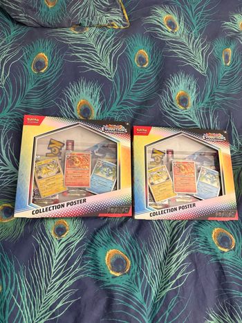 Lot coffret poster évolution prismatique