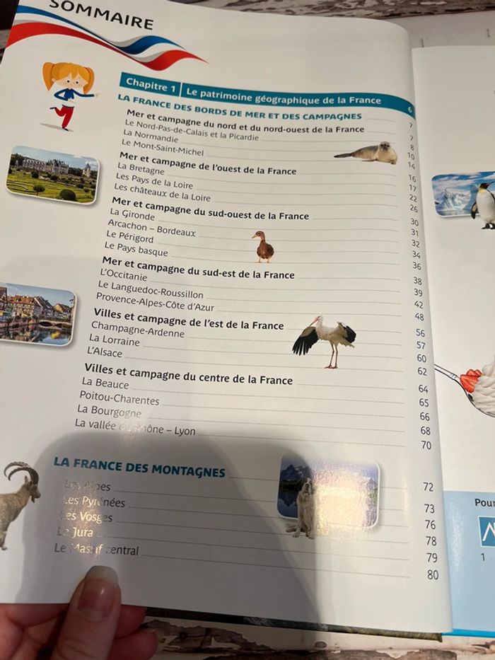 Je découvre la France - photo numéro 8
